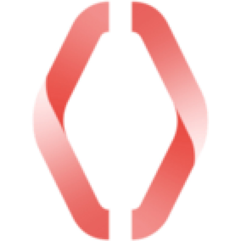 Infer logo