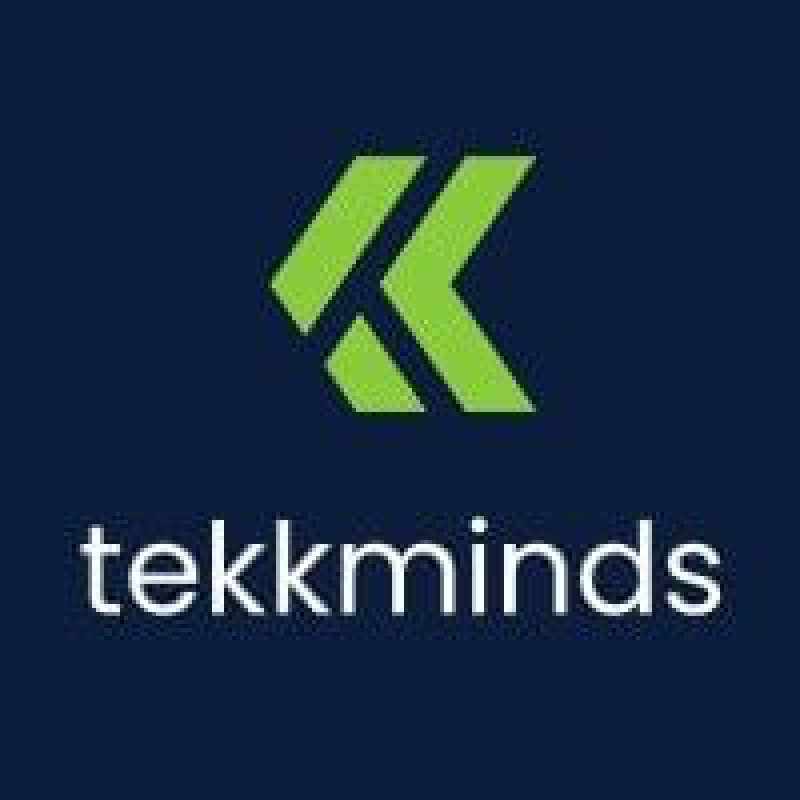TekkMinds Schweiz AG logo