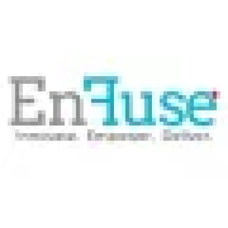 EnFuse Solutions Private Limited logo