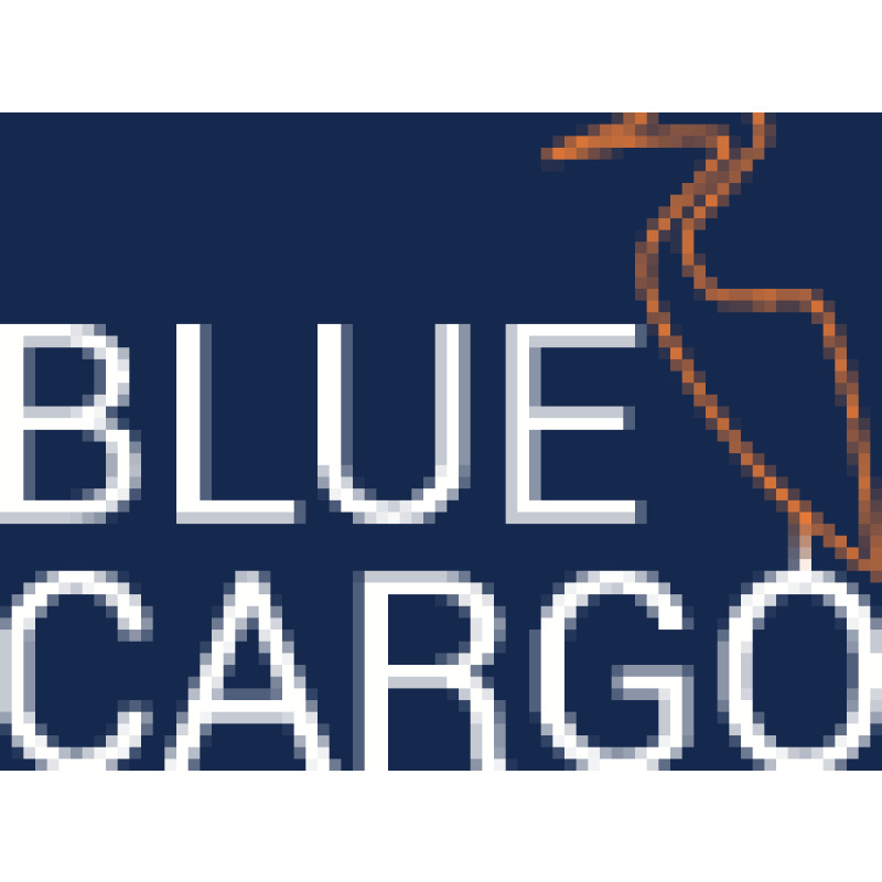 BlueCargo logo