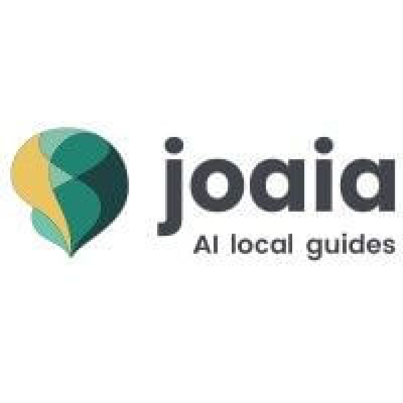 Holoai AG logo