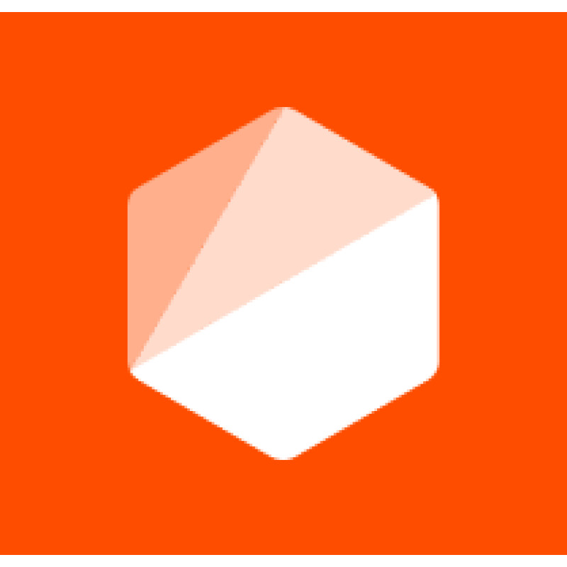 Rubytech logo