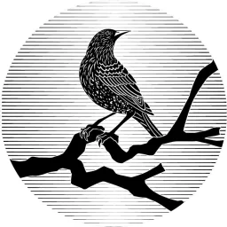 Avetol logo