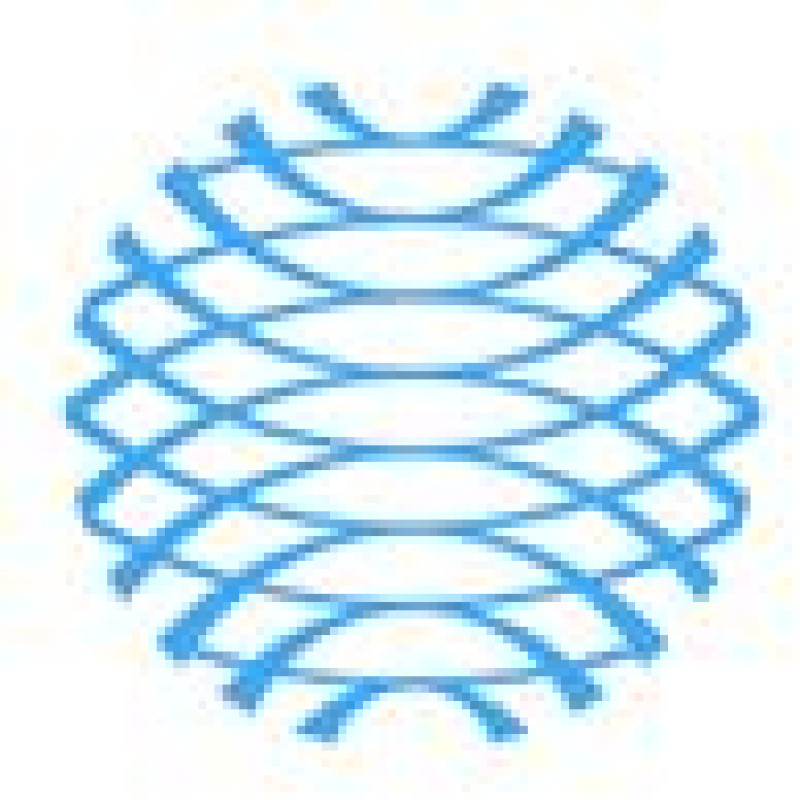 efficient.capital AG logo