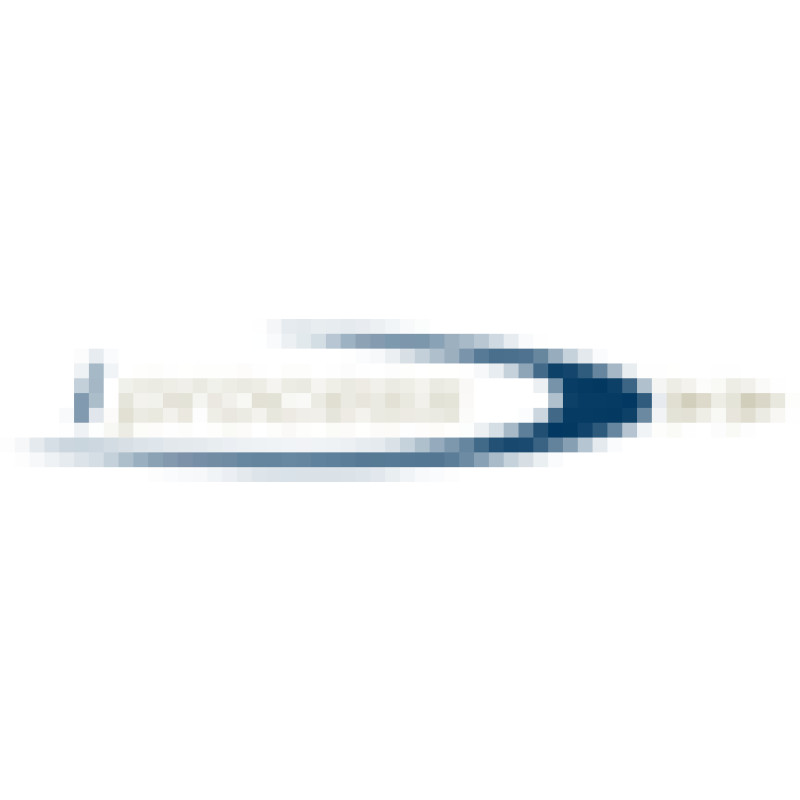 I Process Private Limited logo