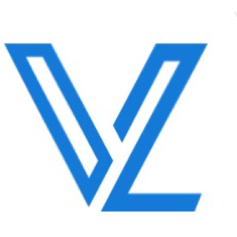 VL Team logo