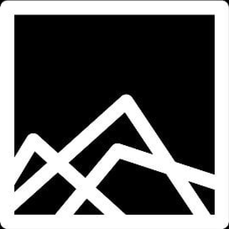 Steadfast Collective logo