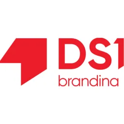 DS1 branding logo