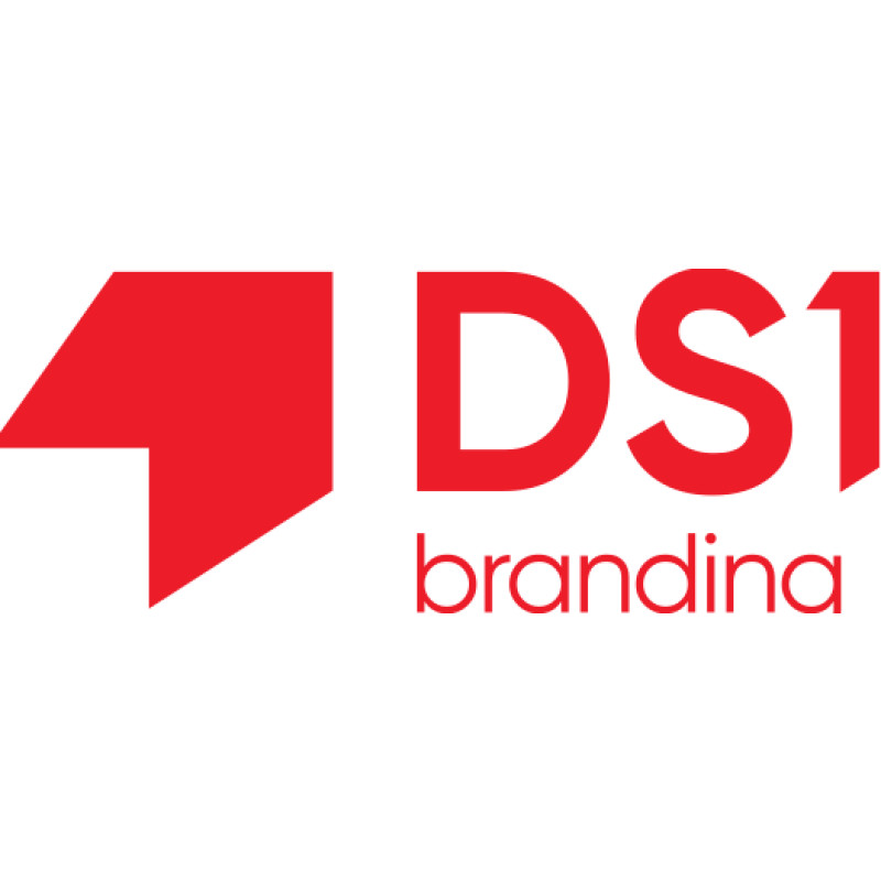 DS1 branding logo