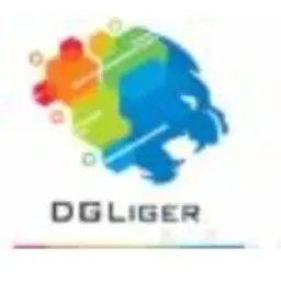 DGLiger Consulting logo