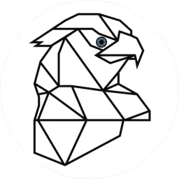 St-Falcon logo