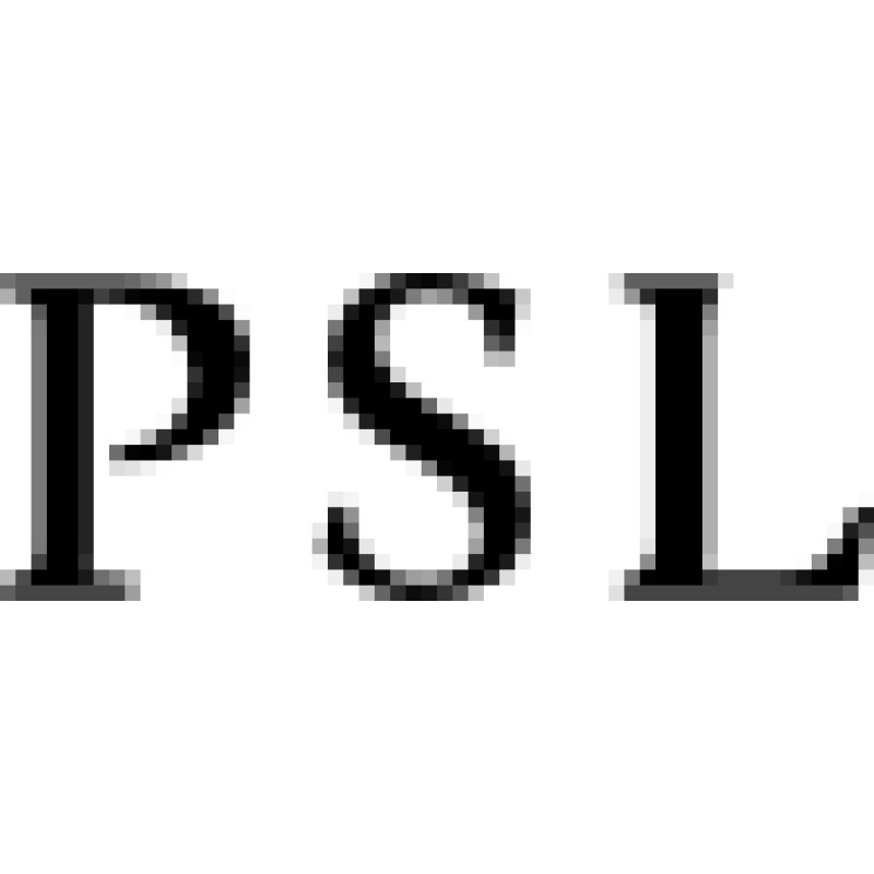 Purple Style Labs logo