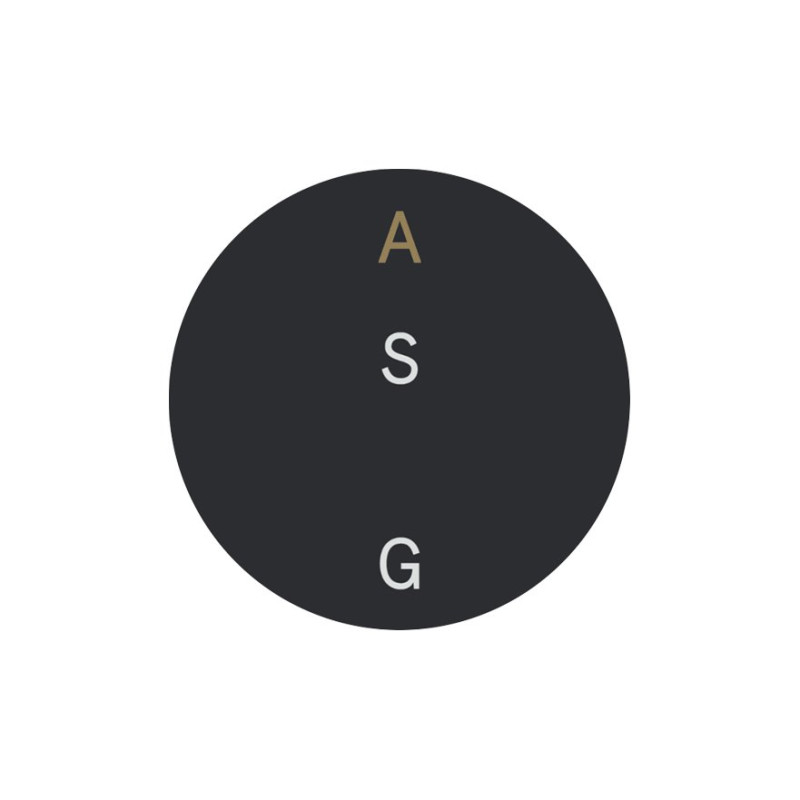 Auri Signum Group logo
