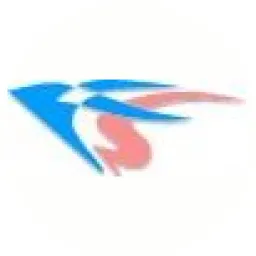 FelenaSoft Company Ltd. logo