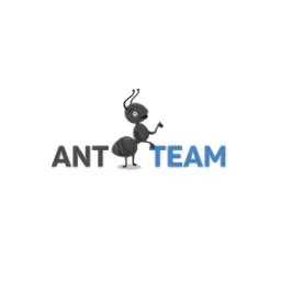 Ant-Team.ru logo