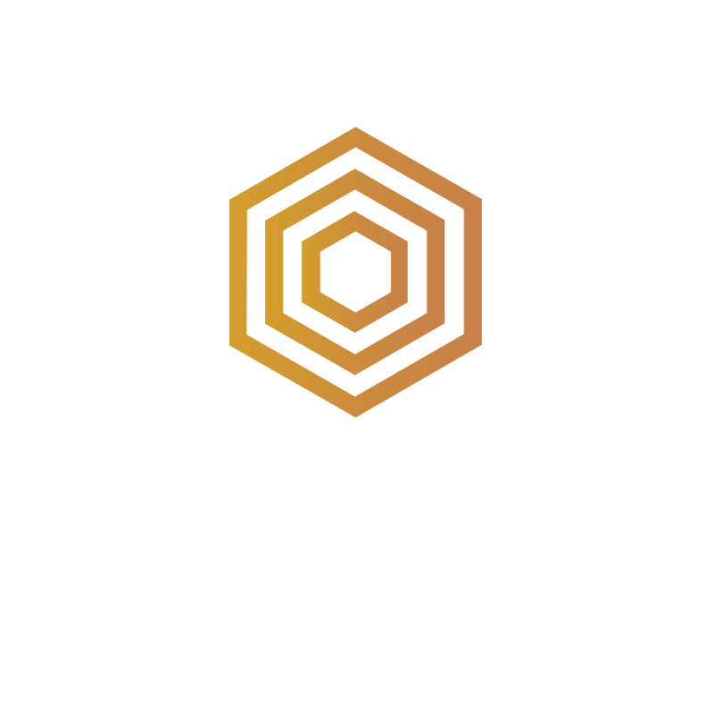 BRANDPOL logo