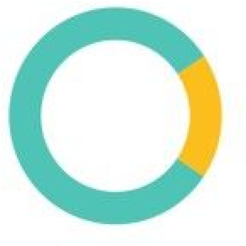 CoPilot AI logo