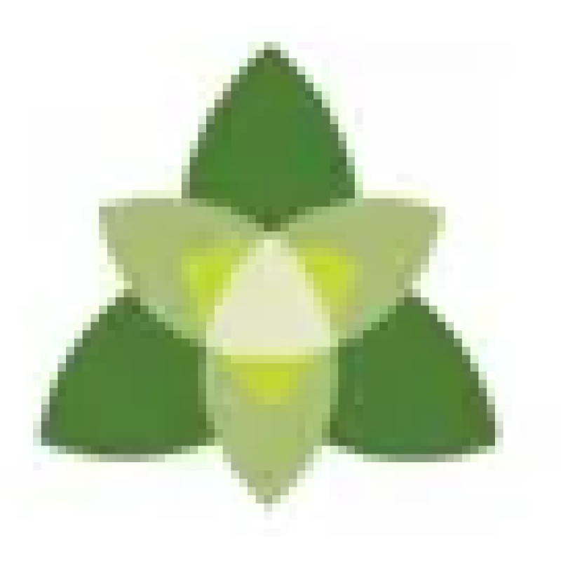 Trillium Health Resources logo