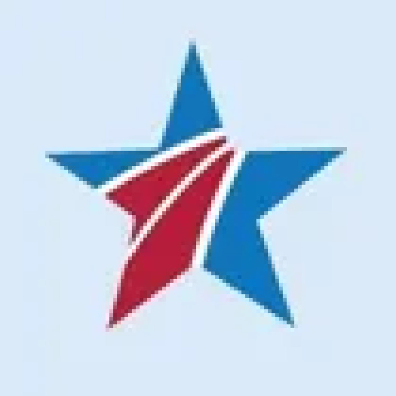 Blue Star Families logo