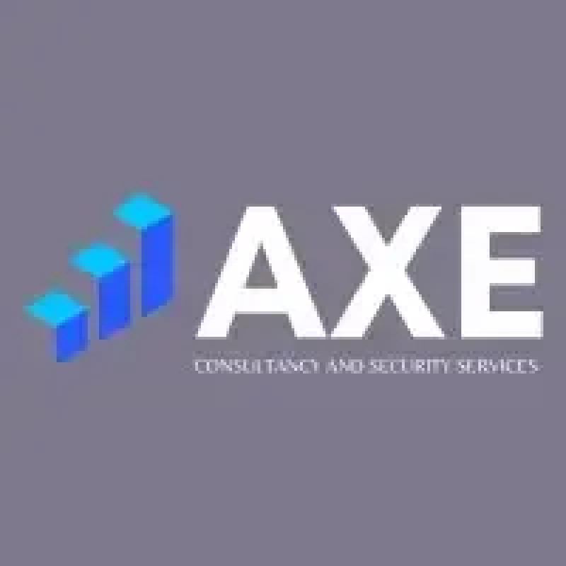 Axe Consultancy Services logo