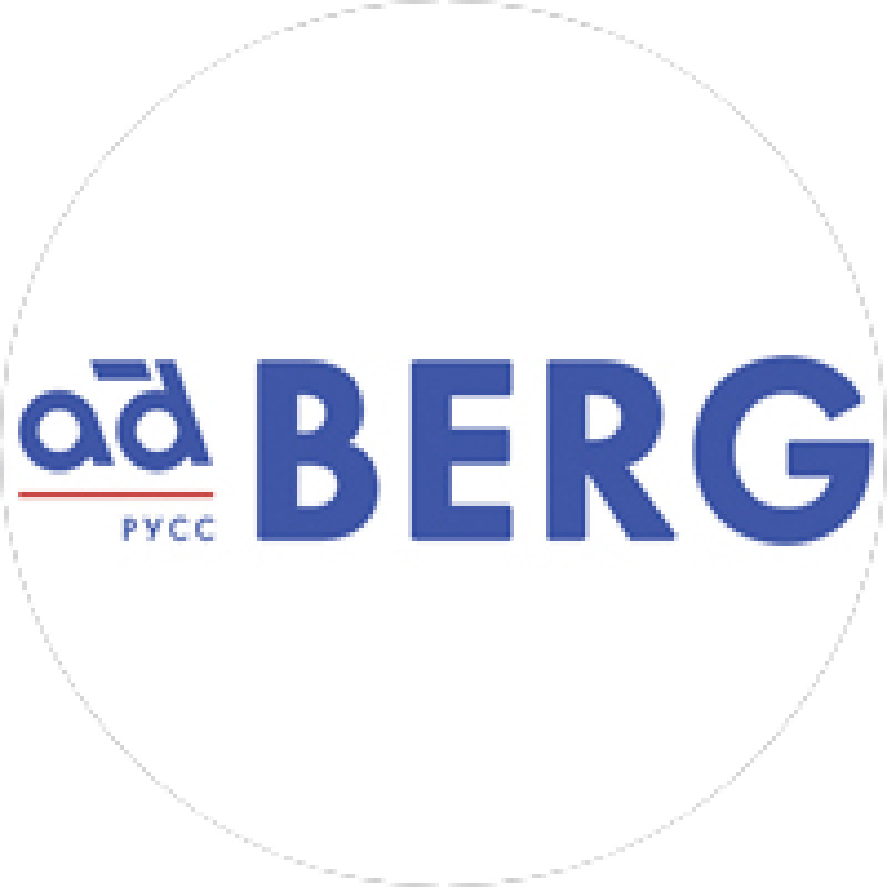 Berg logo