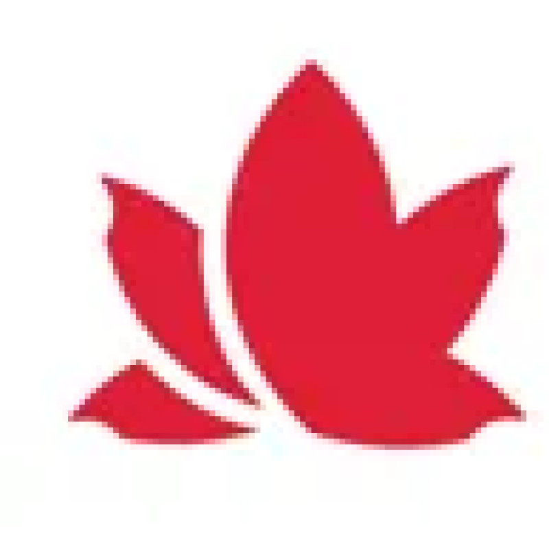 Lifemark Health Group logo