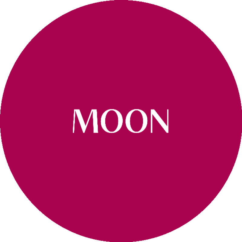 MOON logo