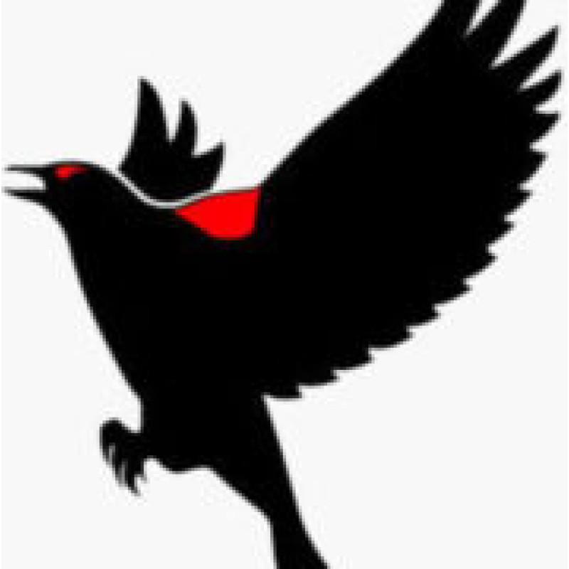 Blackbird e-Solutions logo