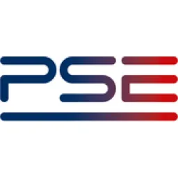 Polskie Sieci Elektroenergetyczne S.A. logo