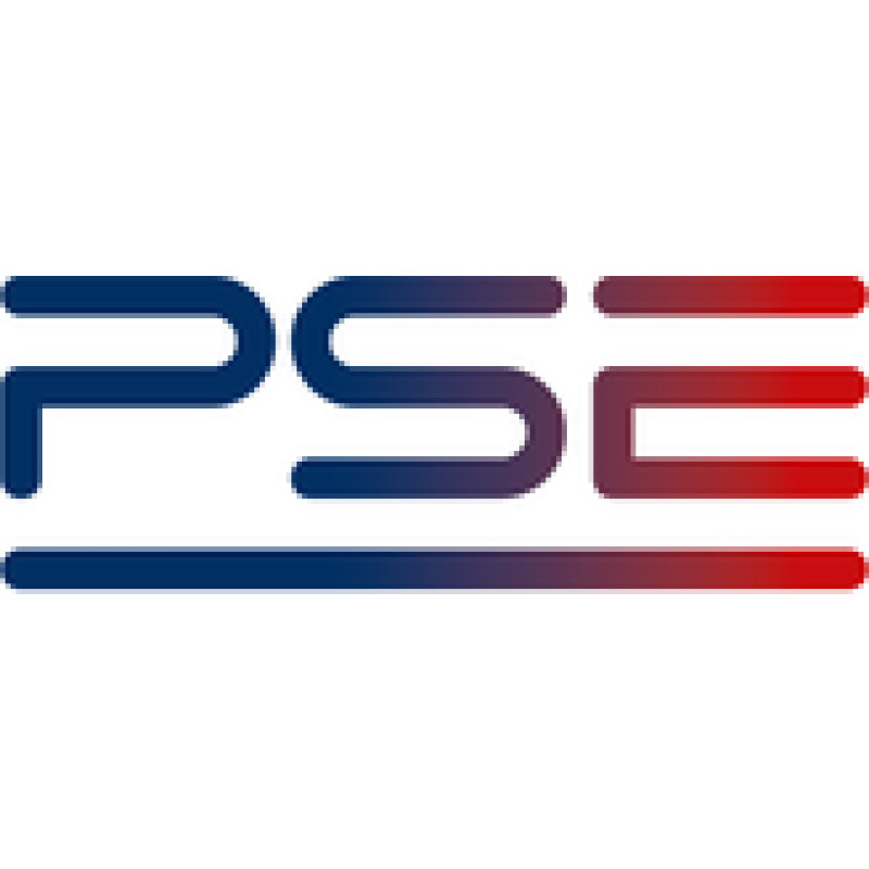 Polskie Sieci Elektroenergetyczne S.A. logo