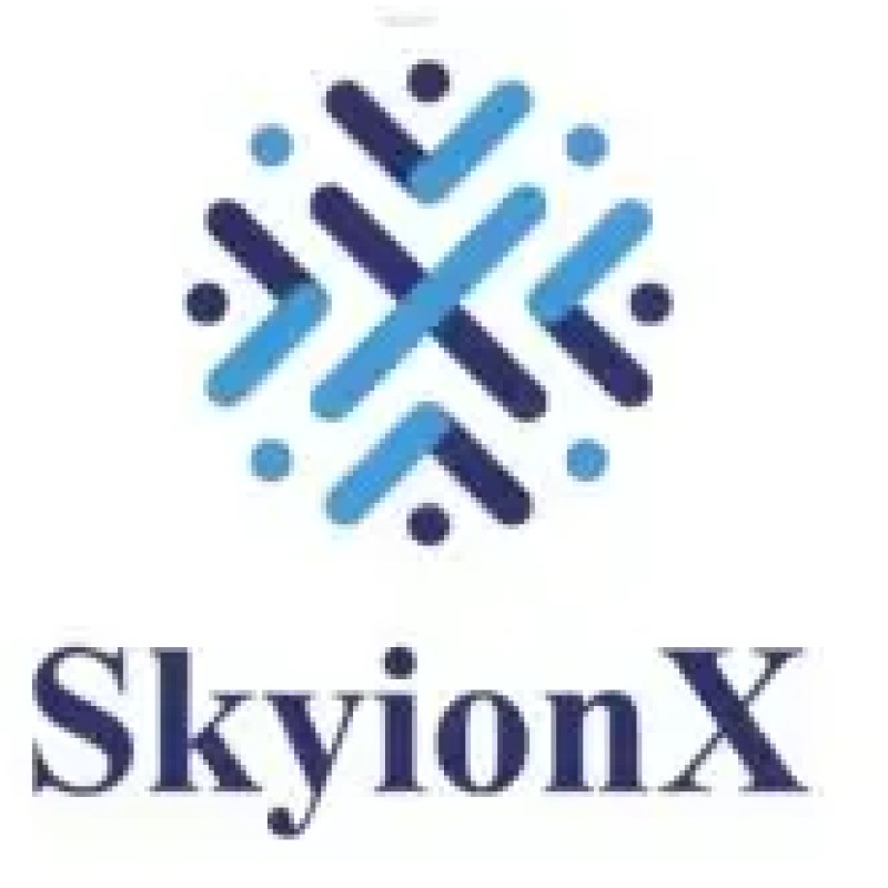 SkyionX Space Innovations logo