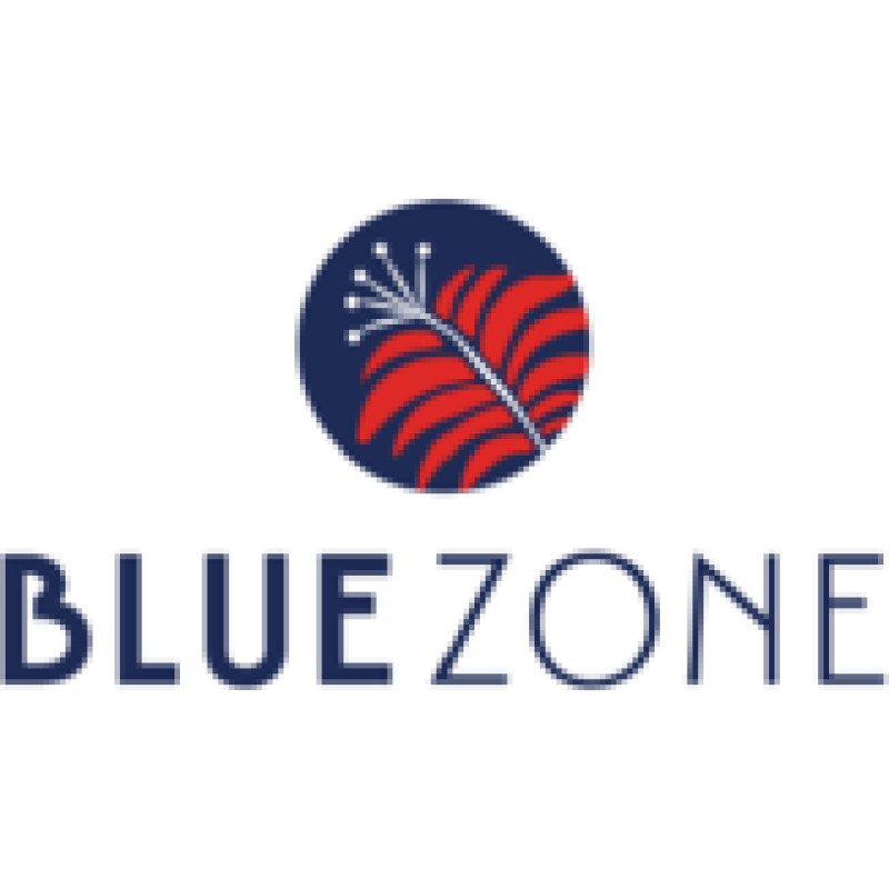 Blue Zone K.K. logo