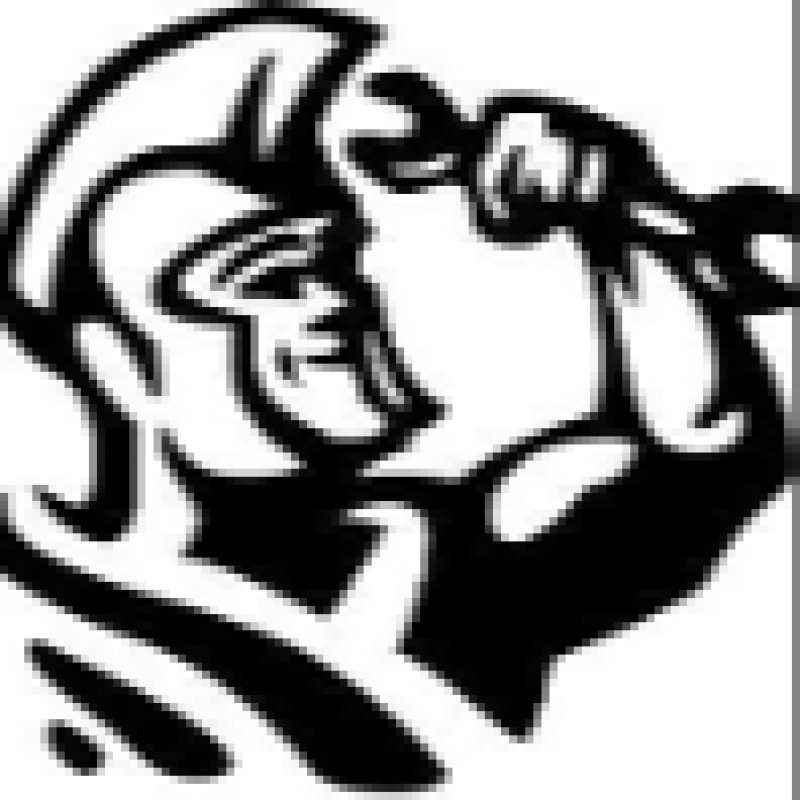 Rynoss logo