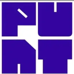 Punt Partners logo