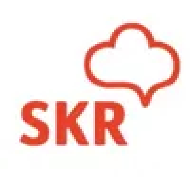 SKR Reisen logo