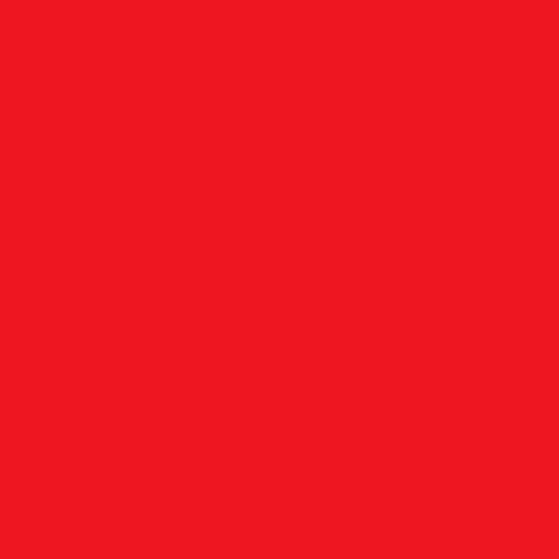 REDspace logo