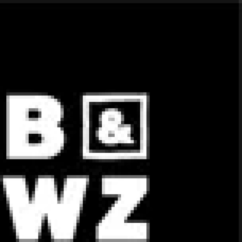 Bwz logo