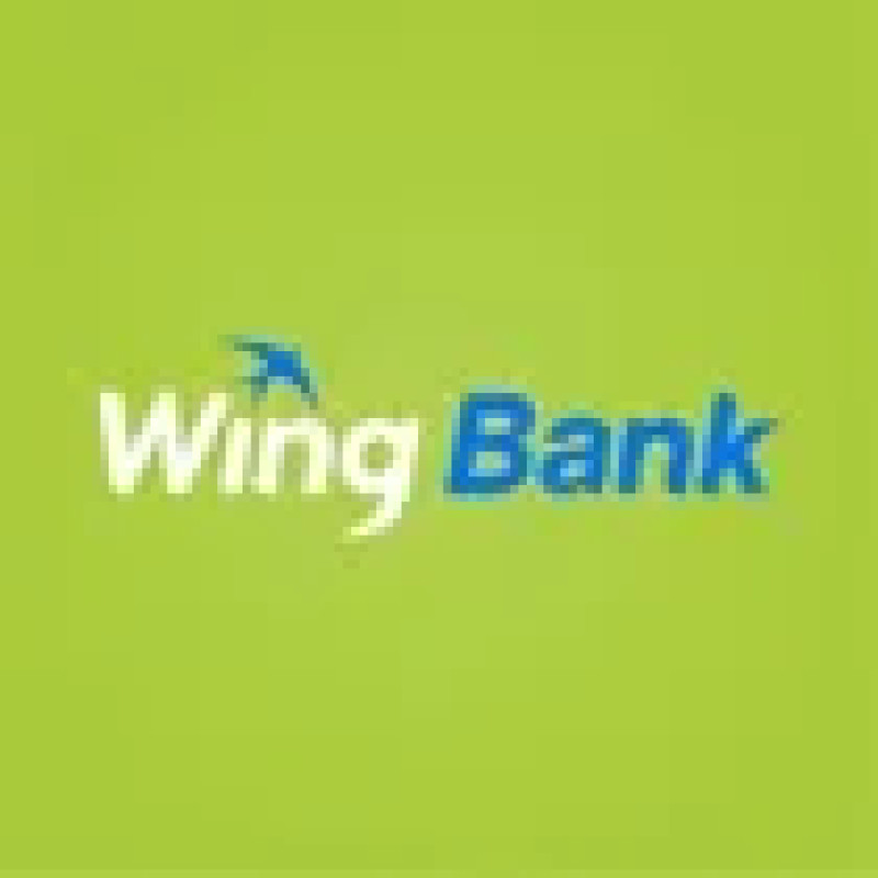 Wing logo
