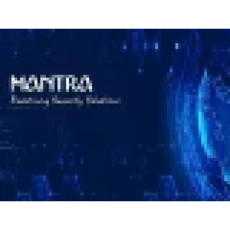 Mantra Softech India Private Limited logo