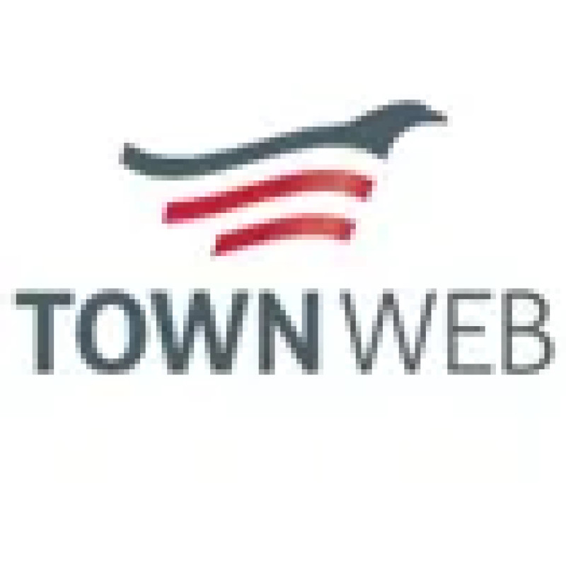 Town Web logo