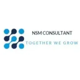 NSM Consultant logo