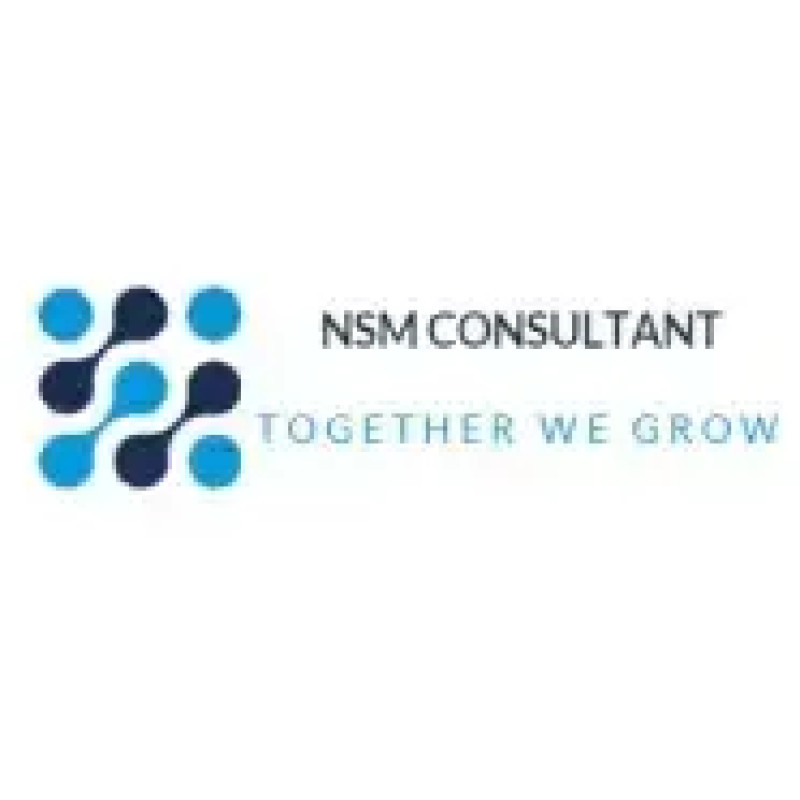 NSM Consultant logo