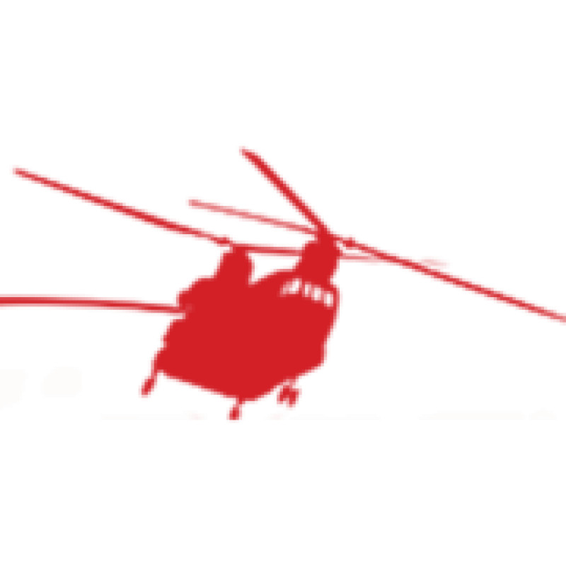 Billingsflyingservice logo