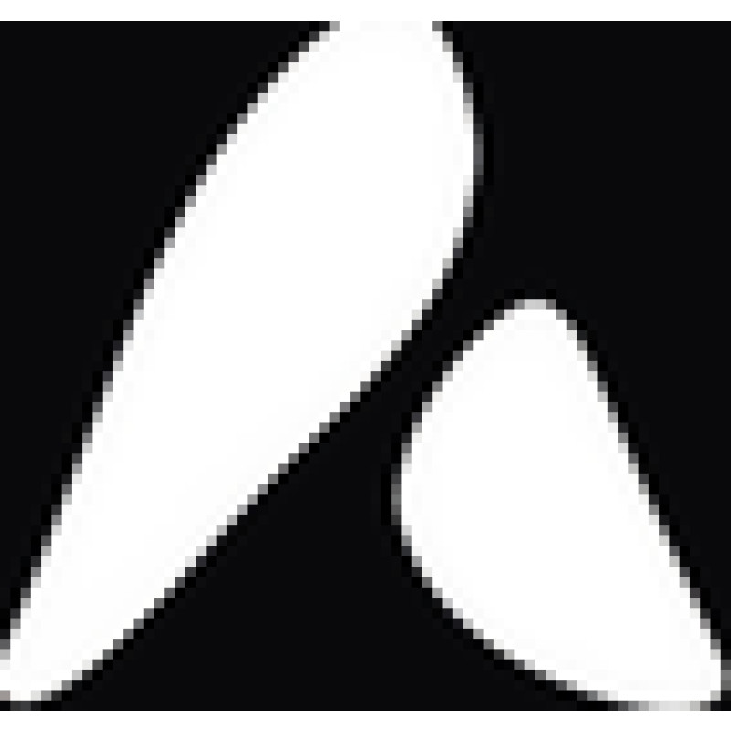 Anthum Inc. logo