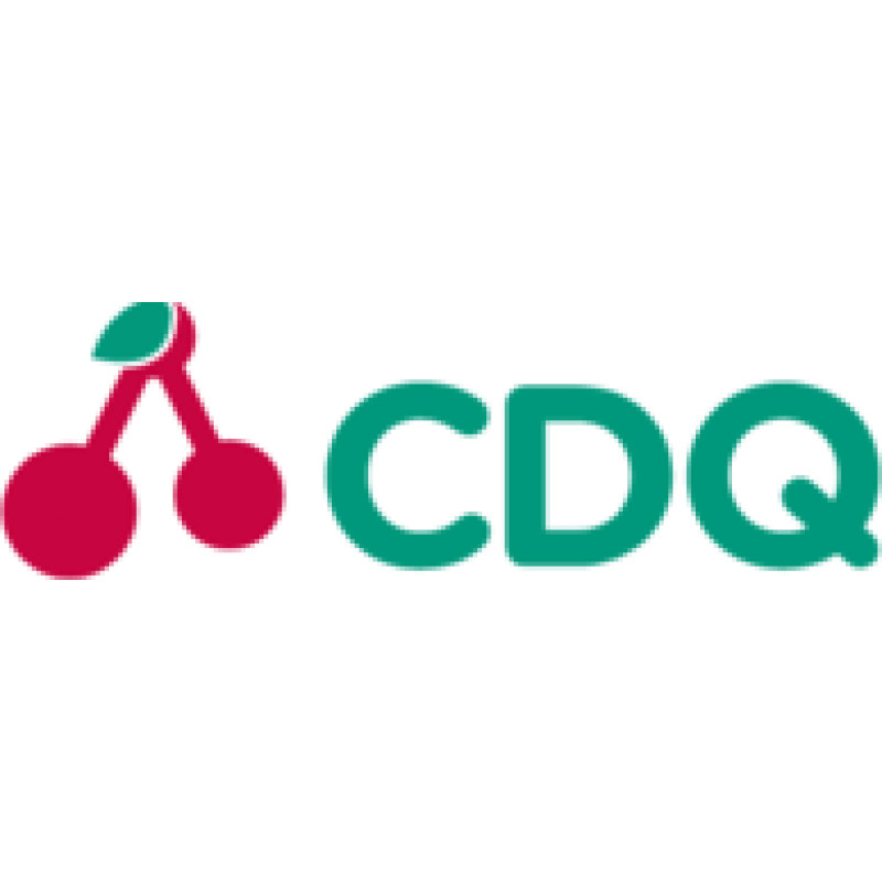 CDQ logo