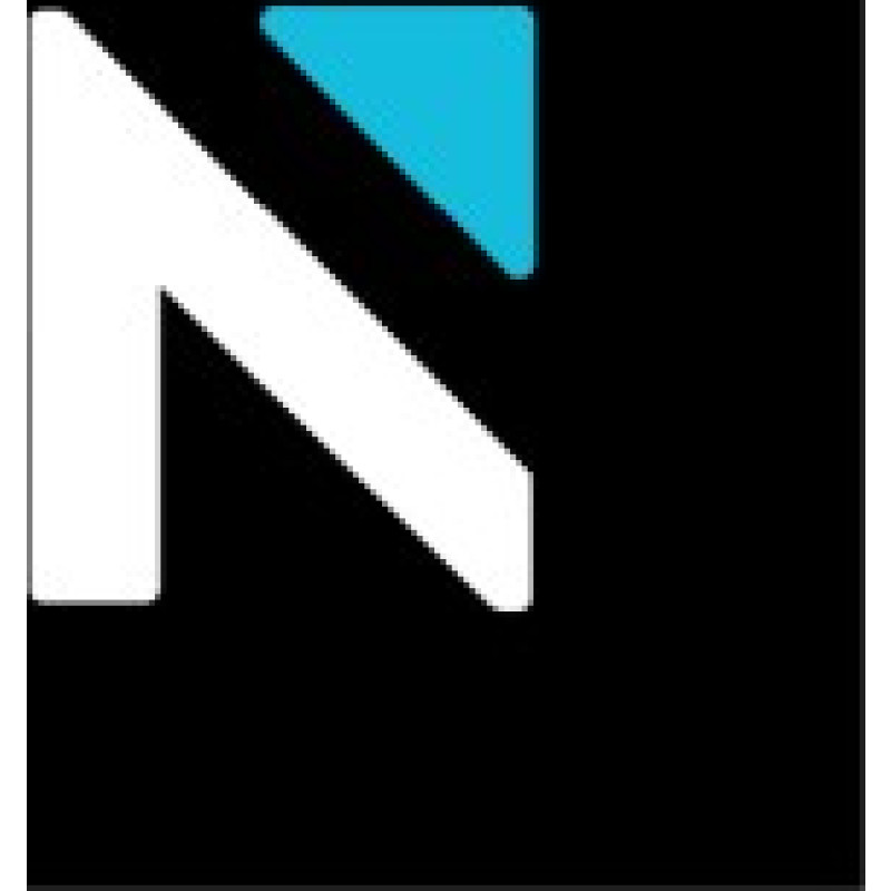 NELSON Worldwide logo