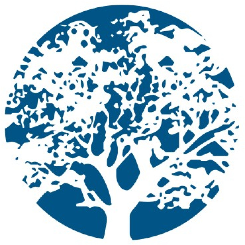 Raintree Systems logo
