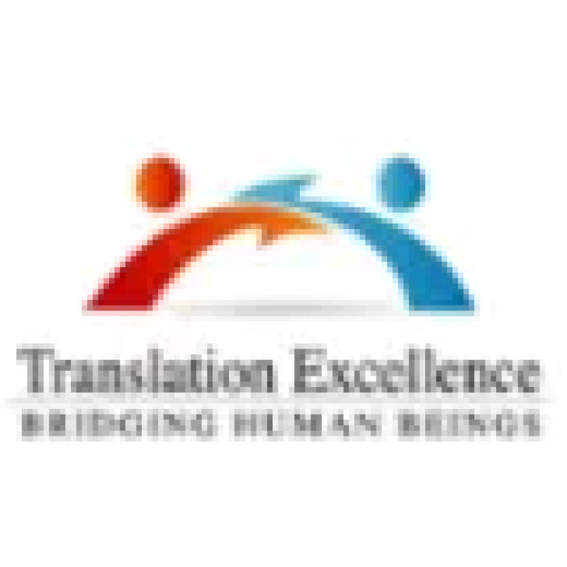 Translation Excellence logo