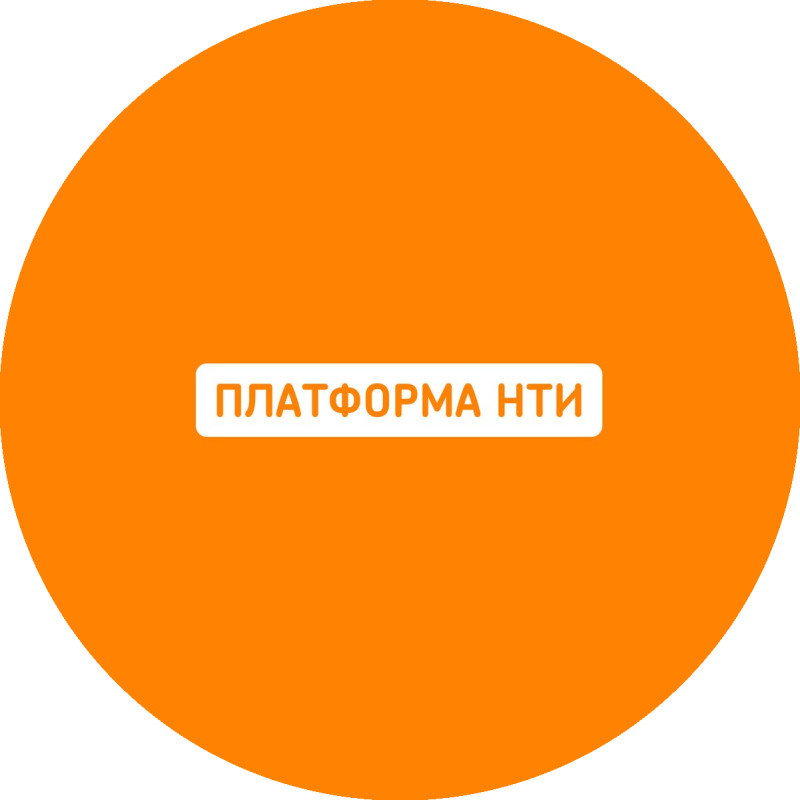 Nti2035 logo
