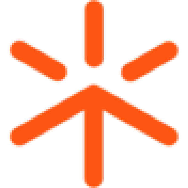 Flint logo